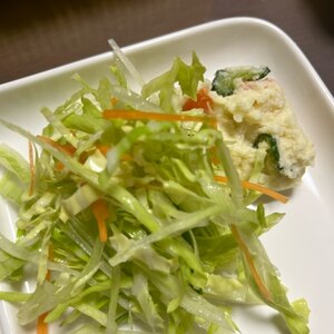 サラダの種を作り置き！いろいろ応用簡単♪★生野菜